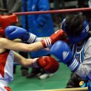 안동복싱체육관 이미지