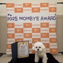 일산애견 이미지