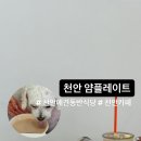 얌플레이트 이미지