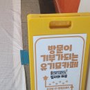 캣카페 집사의하루 분당점 이미지