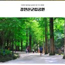 117회 버스도보는(11월14일 토요일) 자연이 빛어낸 열가지 풍경 강천산 군립공원입니다. 이미지