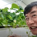 경규농장 네이버블로그