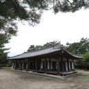 목화나라