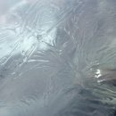 준 자동차 이미지