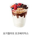 메가엠지씨커피 평촌로데오점 | 메가커피 요거젤라또 초코베리믹스 내돈내산｜가성비 요아정 아이스크림 ｜요아정과 비교