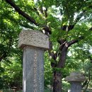 아마트24합천청덕점 | 함양 (2) 아름다운 함양 상림(上林), 역사인물공원 유감