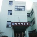 영남대학교 자연박물관 이미지