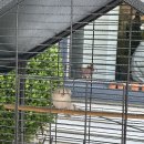 짹짹커피(함안점) 이미지