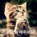 20230430 주일낮설교 / 충만교회 민창근 목사 - 벧후 1:12-21 / 믿음(진리)에 굳게 서라!! 이미지