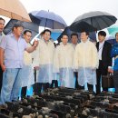 완도13호 이미지