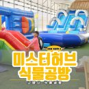 다육이놀이터 - 금정구 중앙대로 2400 | 미스터허브식물공방 고양시 아이랑 가볼만한 실내 수영장, 예약제 실내놀이터 후기