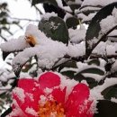 타이어프로 밀양가곡점 이미지