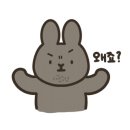 커피포레스트