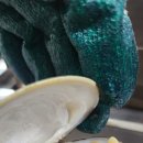 삼형제식당 이미지