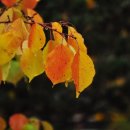 소향공원 이미지