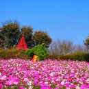 한들목장 이미지