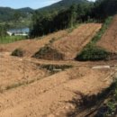 주렴농장 이미지