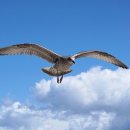 대구중앙중학교 이미지