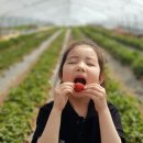 무내미농장 이미지