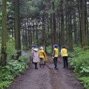 태영목장2 이미지