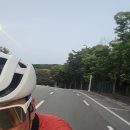 야라 헤이리 서영대 프로방스 솔라 시원해 이미지