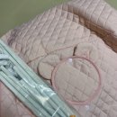 에브리데이 펫 | [강아지 하우스] 초코 펫하우스 에브리데이 하우스 3.0 후기