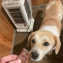 아빠의 정원 이미지