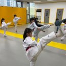 원흥비전 태권도장 이미지