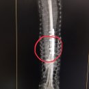 J동물병원 이미지