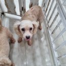 진북동물병원 이미지