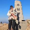 수암초등학교 | 수리산 안산에서 수암봉 왕복 수도권 등산 초보코스 주차정보