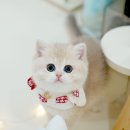 메종드센텀 이미지