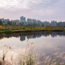 충남 논산시 포장이사 후기, 이사비용 계산방법