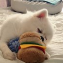 햇살약국 이미지