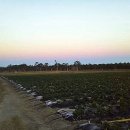 제경농장 이미지