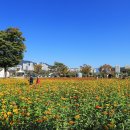 황산공원 이미지