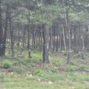 종교단체 자연장지 이미지