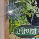 우리들 랜드 | 광주벅스랜드｜아이랑 주말나들이 실내동물원 체험 후기