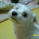 영광교회 이미지