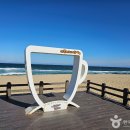 [강원도 강릉시] 남항진해변(남항진해수욕장)