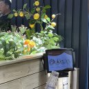 으뜸순두부 이미지