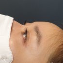 한올아이래쉬 본점 | 반포 고속터미널속눈썹 한올아이래쉬본점 속눈썹 연장 후기