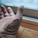 이로운마취통증의학과의원 이미지