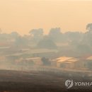 남호농장 이미지