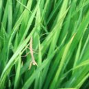 이가네농장 이미지