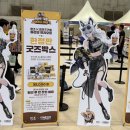 빈투어 주식회사 이미지
