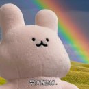 수영114 이미지