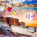 우리하늘여행사