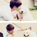 더기운 Daum카페