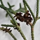 지산아이앤씨주